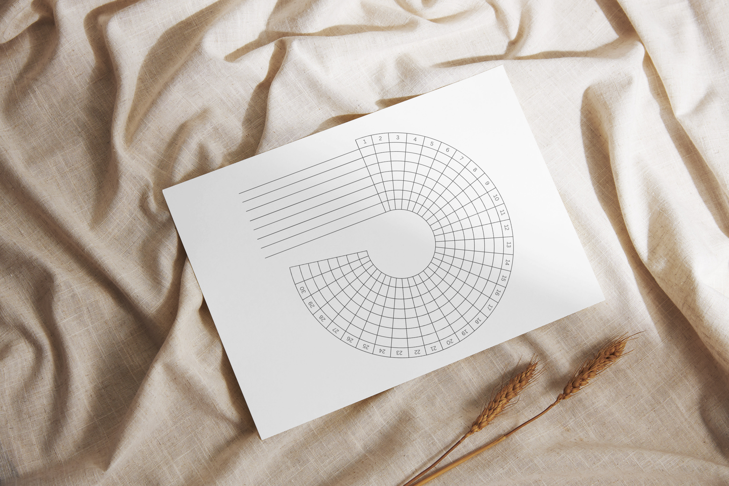 Minimalistic Circular Habit Tracker, Daily Routine Checklist, Monthly Goal Planner PDF Printable